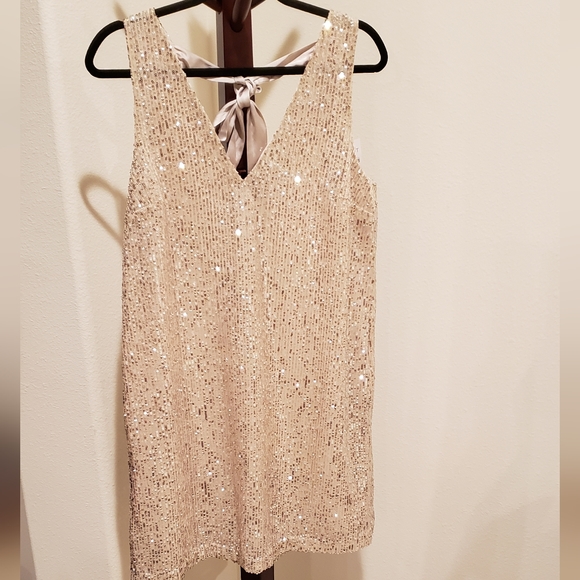 LOFT Dresses & Skirts - Loft champagne sequined v-neck dress with back tie, size 8 - NEW